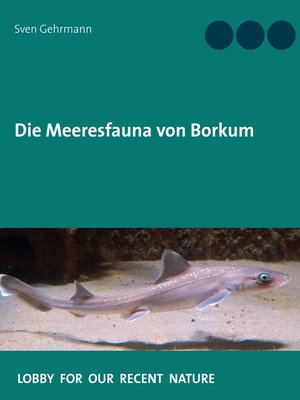 cover image of Die Meeresfauna von Borkum